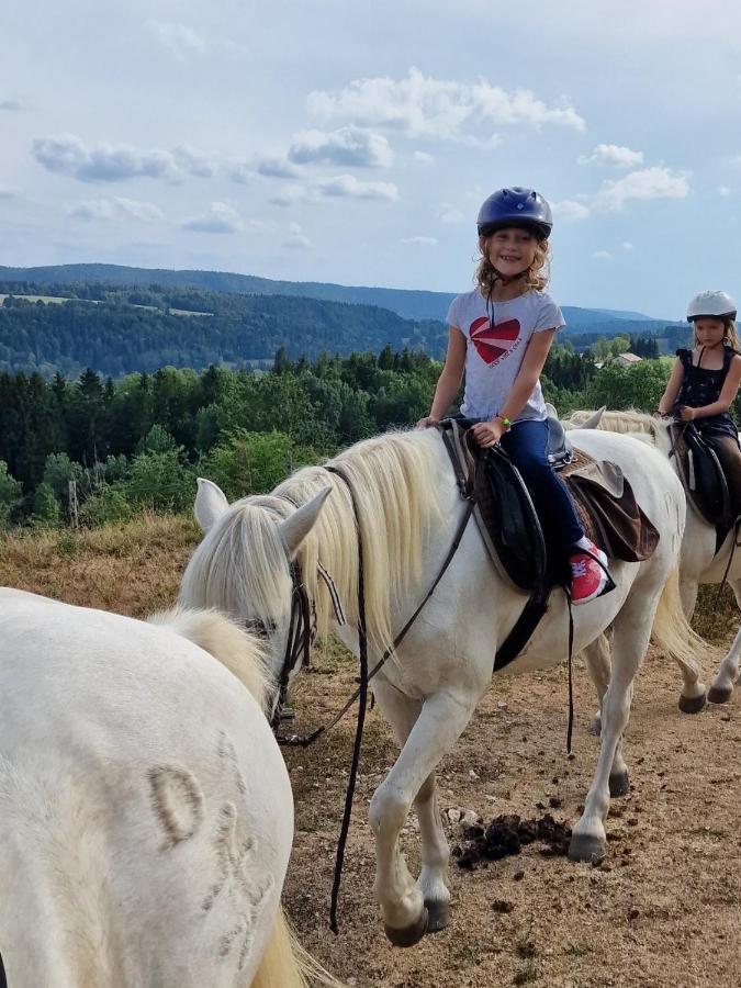 Chez Herve Le Chatelet La Chaux Neuve Zewnętrze zdjęcie