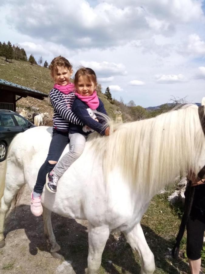 Chez Herve Le Chatelet La Chaux Neuve Zewnętrze zdjęcie